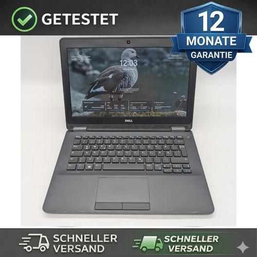 Portatile dell latitude e7270 - portatile,